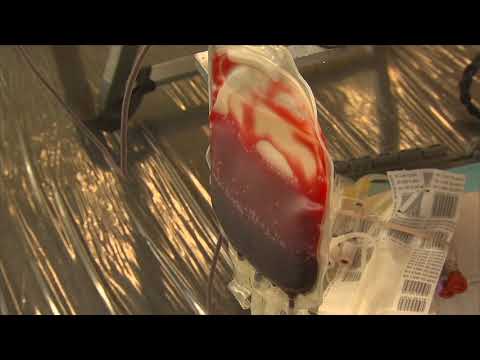 Blood Shortage Interview