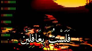 Download lagu Jamalukum-lirik arab #sholawatmerdu #cover mp3
