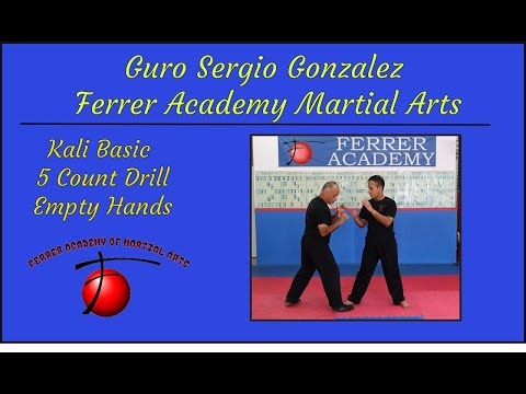 Kali 5 Count Drill #5 Empty Hands