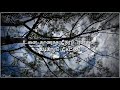 விண்மீன் விதையில் Vinmeen Vidhaiyil Thegidi Tamil Whatsapp Status