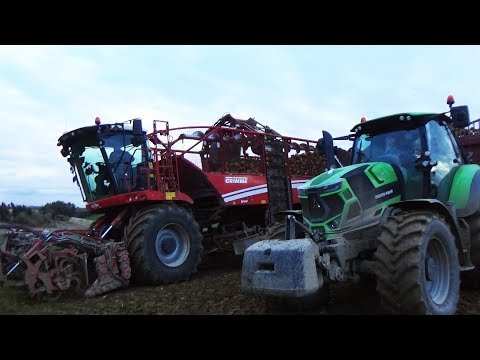 AKCJA BURAKI 2018 // Grimme rexor // Deutz fahr 6215 - Agroeko
