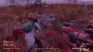 Lv.364 方向音痴が行く！Fallout 76  ～ﾃﾞｲﾘｰ　正装ホワイト撮影だと？　まったり癒し[女性実況]