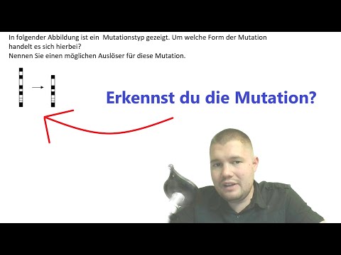 ABI-TRAINING - Genetik (6): Erkennst du die Mutation?