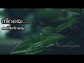Whatsapp Status Rain Whatsapp Status Mazhaye Thoomazhaye Lyrics Status RainDrops PattamPole