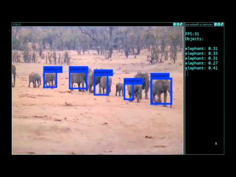 YOLO: Real-Time Object Detection
