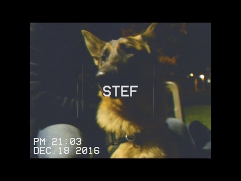 Schoffie - De Minuut 4: STEF