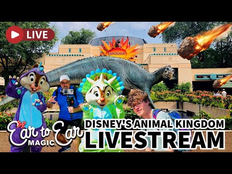 🔴 LIVE - Disney Animal Kingdom Theme Park -  Live Stream 02.05.2026