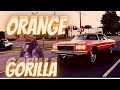 1975 CAPRICE CLASSIC GETS A NEW SET OF ORANGE HALO LIGHTS ( nickname ORANGE GORILLA)