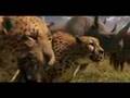 The Chronicles of Narnia: Pillar's Reckless Youth