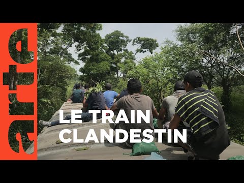 Mexique : « La Bestia » | ARTE Reportage