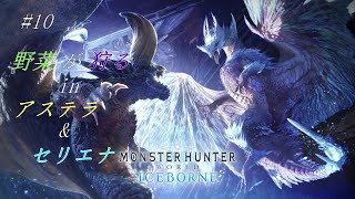 【参加自由】#10 野菜が狩る in アステラ&セリエナ【PC版モンスターハンターワールド：アイスボーン】