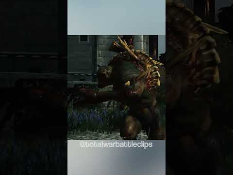 Stand your ground #shorts