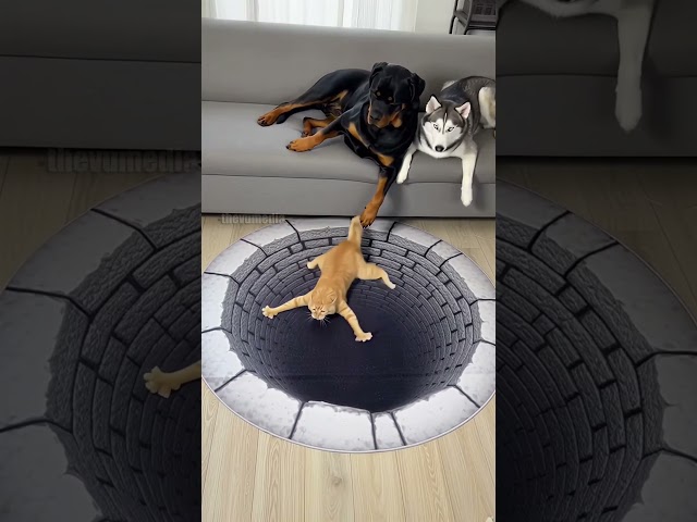 Vídeo relacionado con Halloween Rugs Indoor Scary Decoration Round Optical Illusion Floor Mat