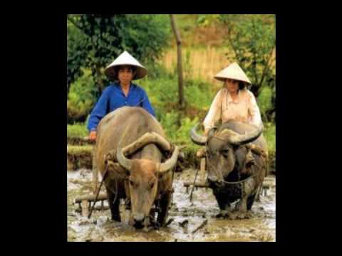 download lagu mp3 mp4 Ebiet G Ade Cita Cita Kecil Si Anak Desa, download mp3 Ebiet G Ade Cita Cita Kecil Si Anak Desa free download, download mp3 Ebiet G Ade Cita Cita Kecil Si Anak Desa