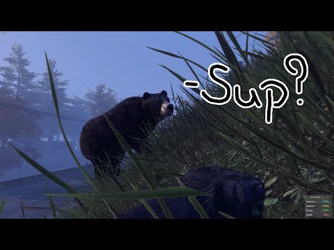 VoliBEAR During Tank Meta (H1Z1)