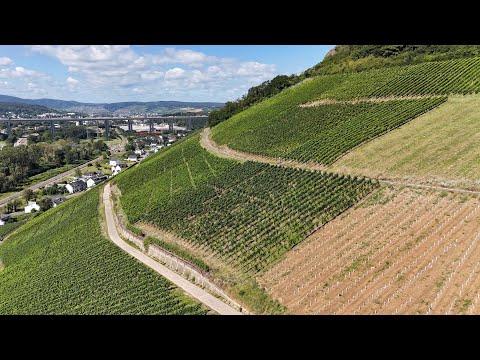 Wandelen in het Ahrdal - Rondom Gimmigen