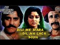 Dili Me Mara Dil Na Laga Rihaee 1998 Vinod Khana Hema Malini Naseeruddin Shah Neena Gupta