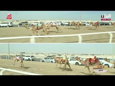 ش 3 الشلفا (طاعه) لـ مانع علي بن حماد الشامسي 11:56:90 , مهرجان الأمير الوالد 2026/2/10 ثنايا