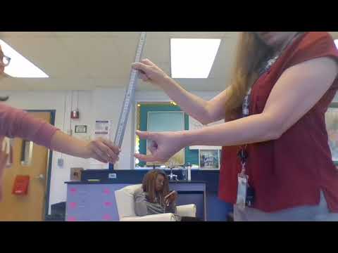 Senses Lab Explaination