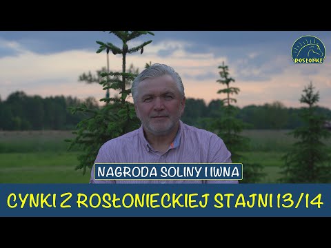 Cynki Adam Wyrzyk na 13 i 14 dzień wyścigowy Nagroda Soliny i Iwna Tor Służewiec