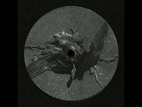 Walker. Membrane [Teluric Remix] (Ci.03)
