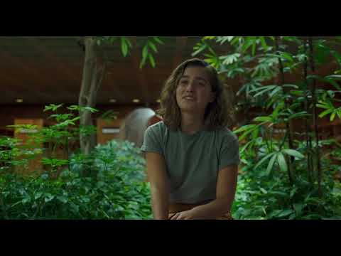 Columbus (2017) Attention