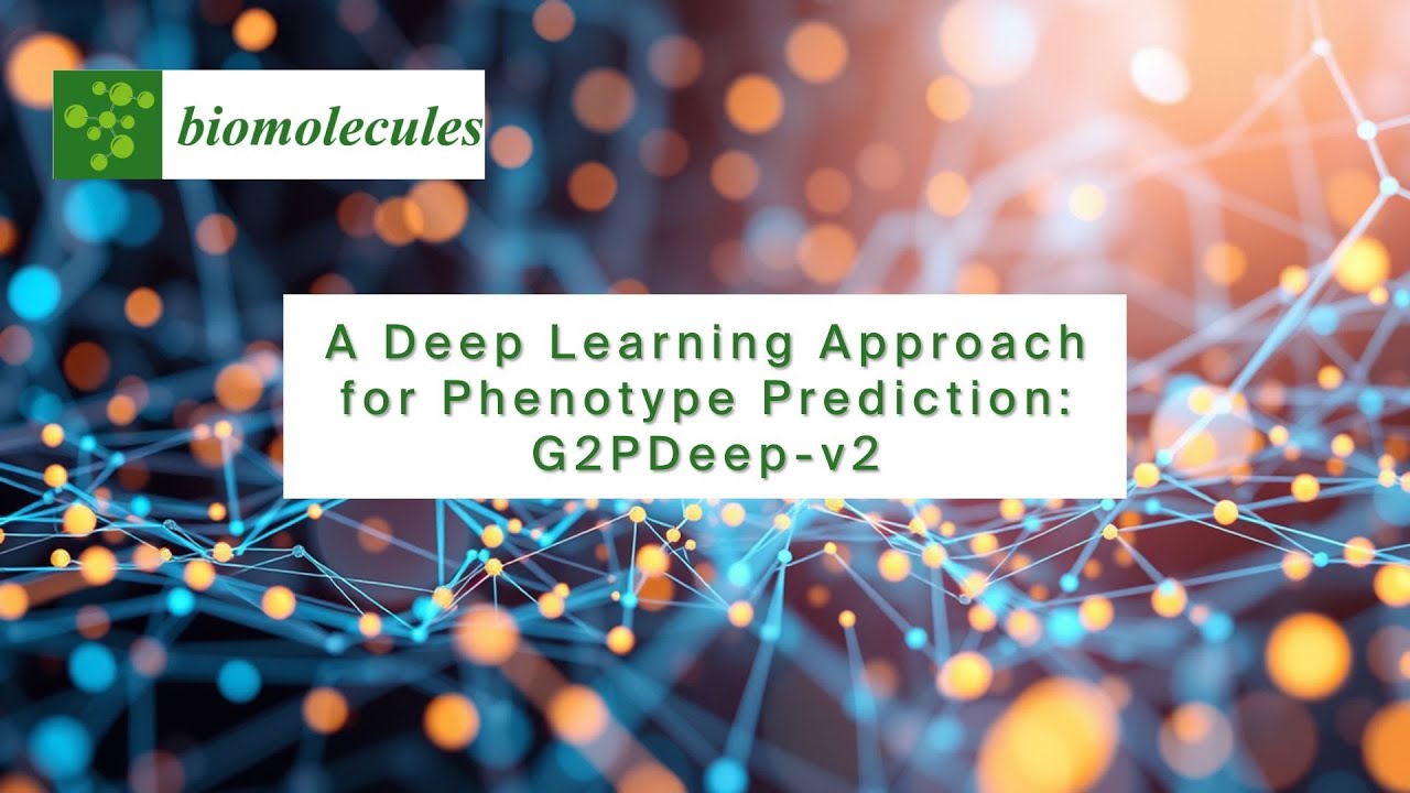 A Deep Learning Approach for Phenotype Prediction: G2PDeep-v2
