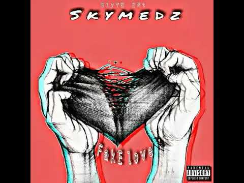 Skymedz -Fake Love