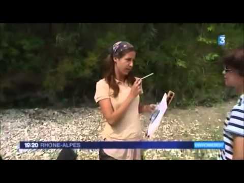 VidÃ©o du sÃ©jour