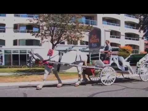 Best Western Inner Harbour