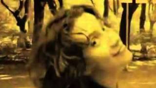 Celine Dion - Because You Loved Me lyrics --BETTER VERSION--