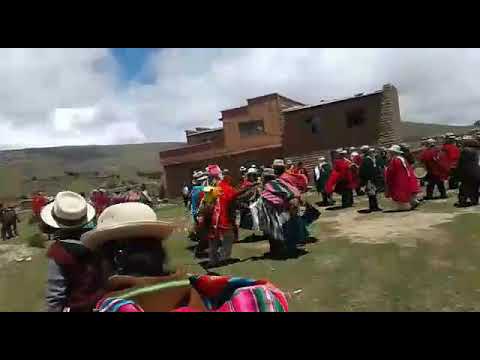 Humanata pruvincia camacho comunidad pampajasi