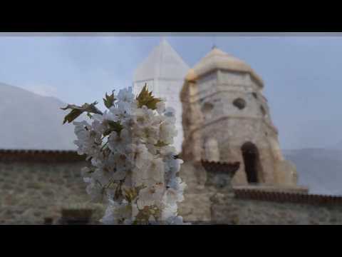 Cuccaro Vetere nel cuore ❤🦾