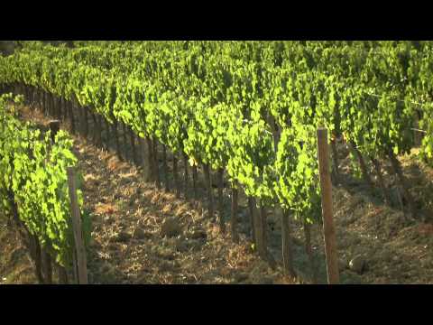 Castelgiocondo - Marchesi de' Frescobaldi