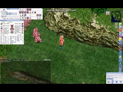 [Solo MVP] Taekwon Master - Eddga (4 sec kill time)