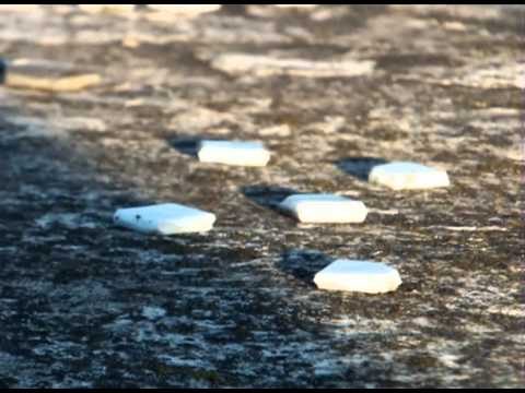 Kosminis darželis – video kadras