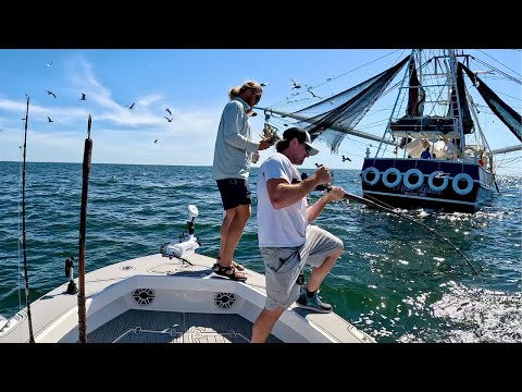 Fishing Behind SHARK Infested Shrimp Boats For Our Winning Fish!