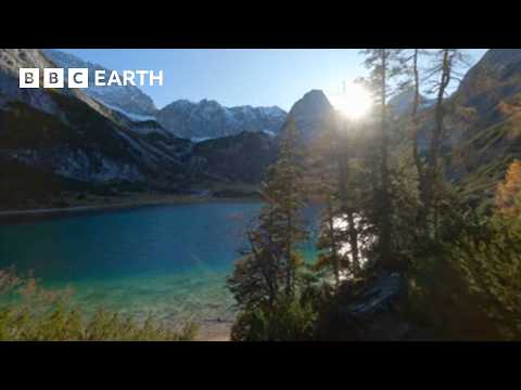10 Hours of Relaxing Nature Scenes | BBC Earth