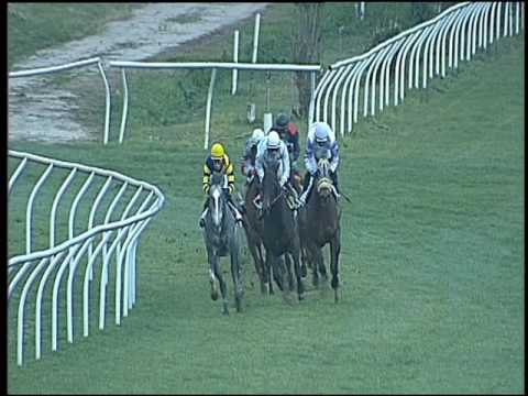 Galoppo 05/01/2017 - 2ª corsa