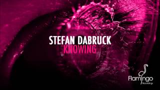 Stefan Dabruck - Knowing (Preview) [Flamingo Recordings]