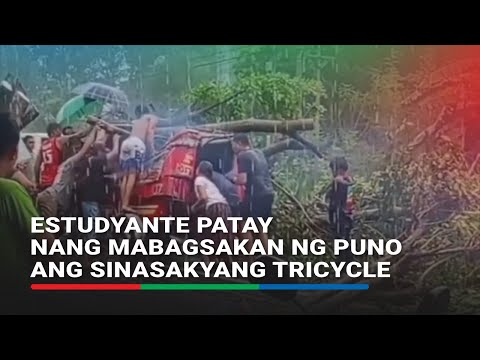 Estudyante patay nang mabagsakan ng puno ang sinasakyang tricycle