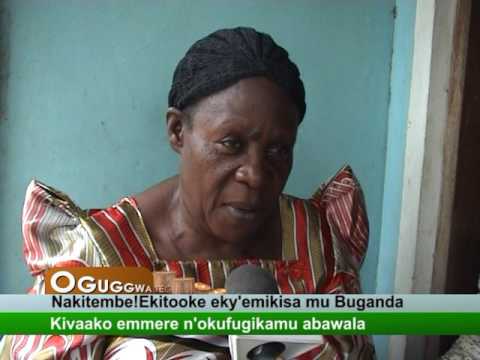 OGUGGWA :Nakitembe!Ekitooke eky'emikisa mu Buganda