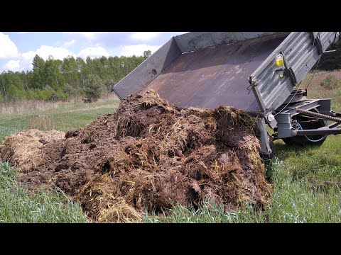 🔥 Wywóz obornika 🔥 Autosan d47 🔥