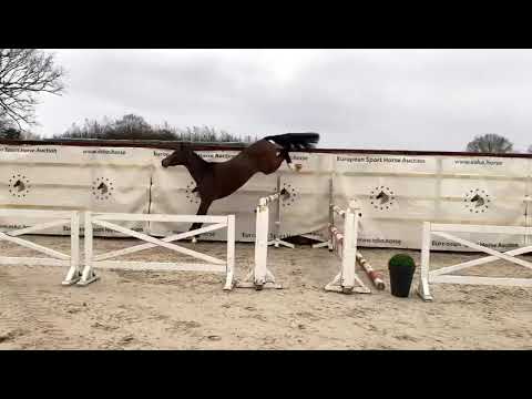 Cornetta: Cornetino x Dinken