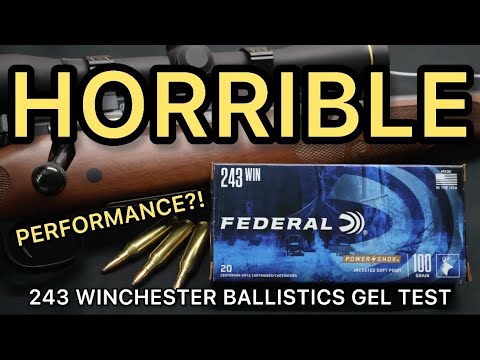 WORST EVER?!? 243 Winchester Federal PowerShok 100gr PSP Ammo Test