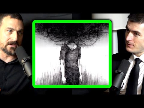 Depression and MDMA (Ecstacy) | Andrew Huberman and Lex Fridman