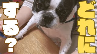 妻へ初めての手紙とプレゼント🎁
