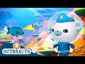 Octonauts Damsel Fish The Jawfish Cartoons For Kids Underwater Sea Education