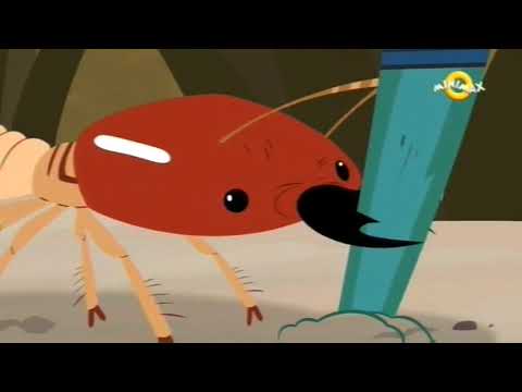 Pustolovine Sa Bracom Kret S01E31 Igra Lanac Ishrane