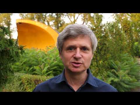 PHJF 2017 (zapowiedź / preview)